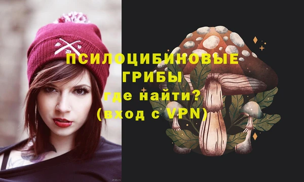 дживик Алексеевка